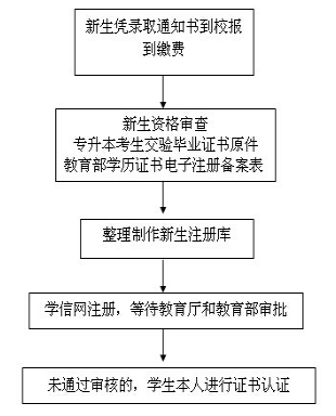 函授新生學(xué)籍注冊(cè)流程圖